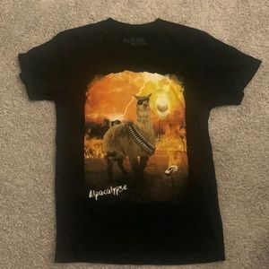 Alpaca t-shirt